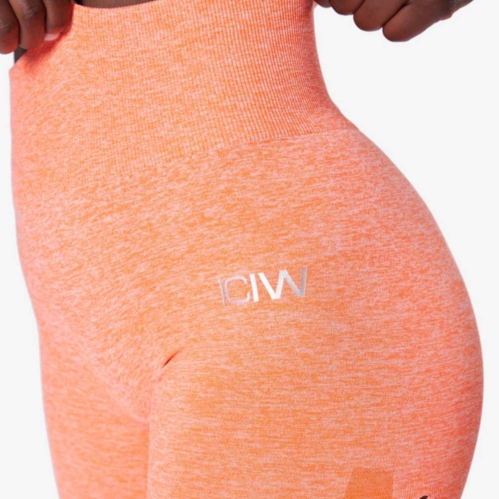NEW!! WITH TAG! SEAMLESS ICIW TIGHTS